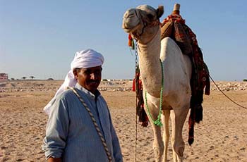Desert Safari