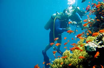 Diving
